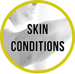 skin-conditions
